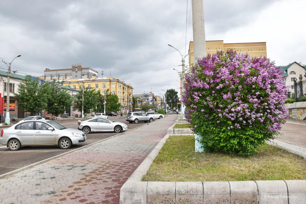 1666694590_191a32-1024x683 Чита