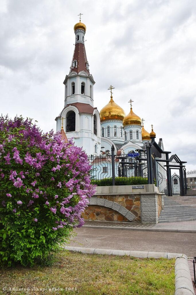 1666694640_c43e47-683x1024 Чита