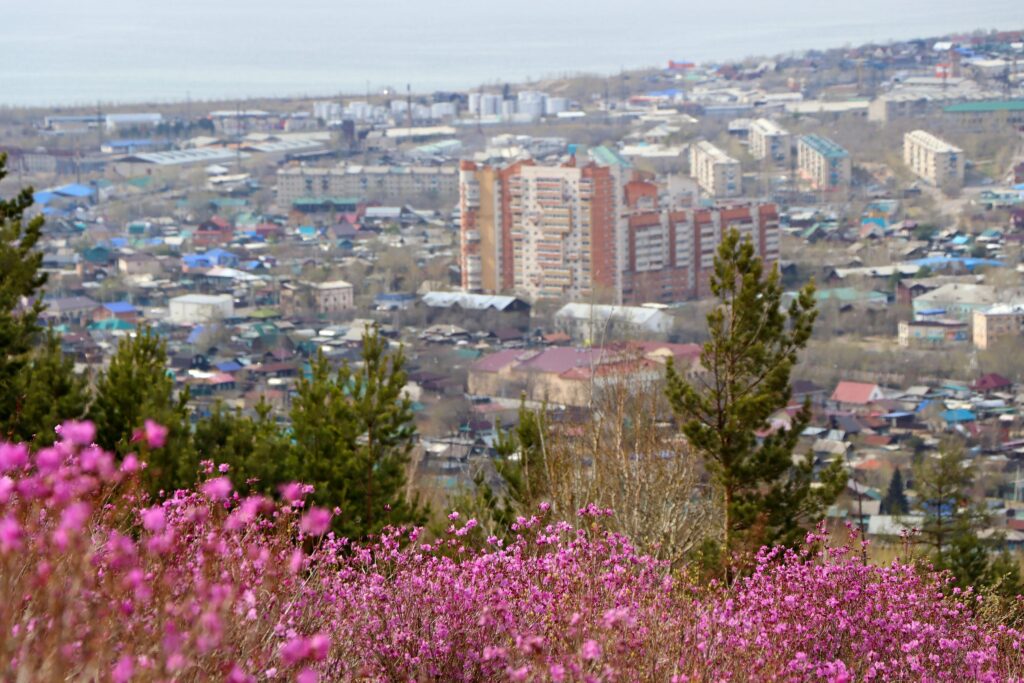 1684554256_c2fbf1-1024x683 Чита