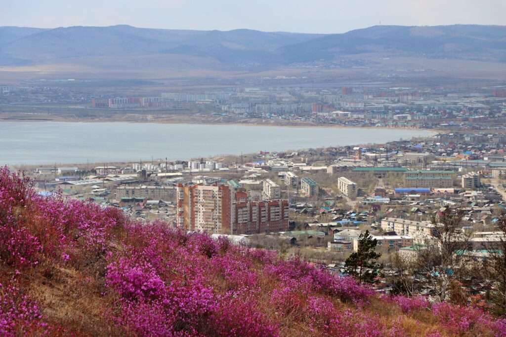 1684554269_cb71d7-1024x683 Чита