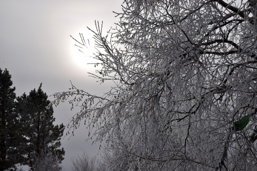 881ab47dc84635c65950ad08715067b0-1024x683 Природа
