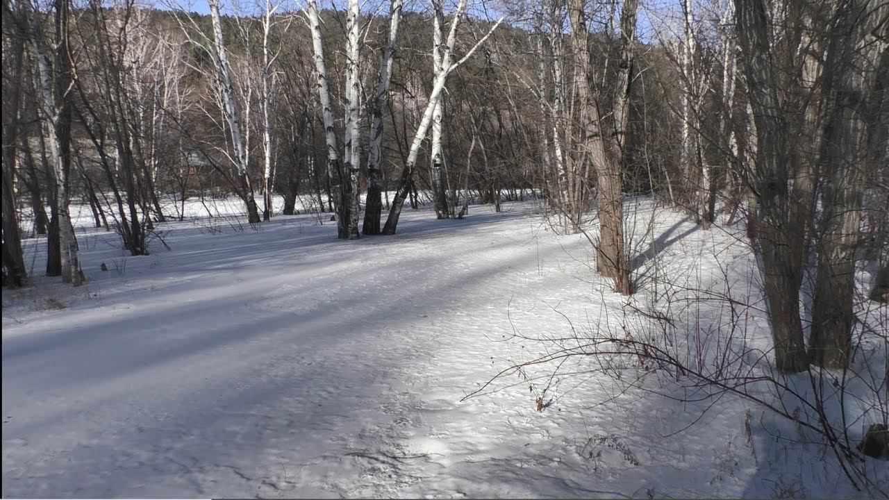 Зима