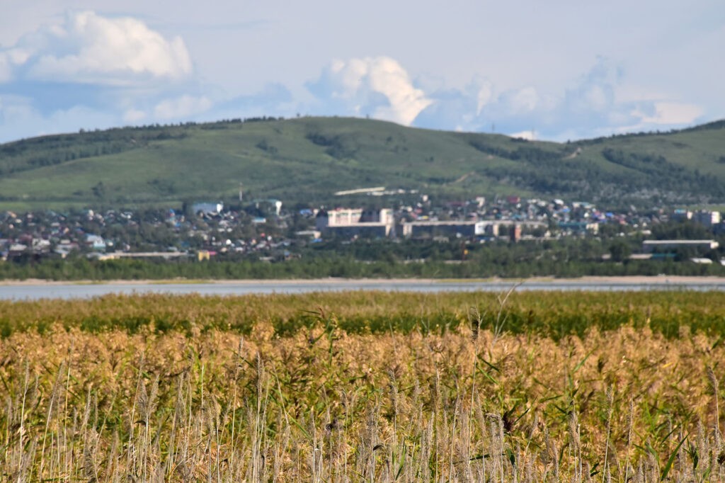 dsc_8022-1024x682 Забайкалье Лето Август