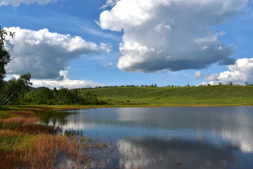 dsc_8024-1024x682 Забайкалье Лето Август